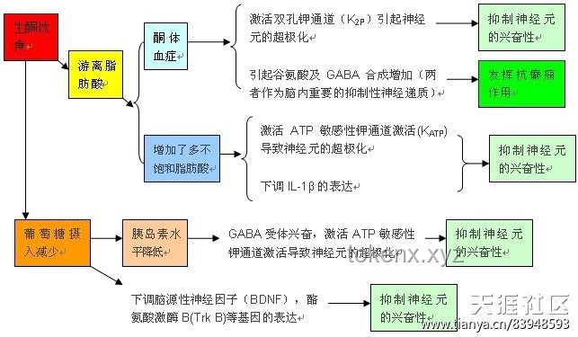 生酮、液断减肥法安全性探讨及科学减肥方案